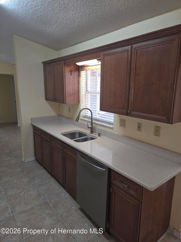 10387 Ventura Drive, Spring Hill, FL 34608