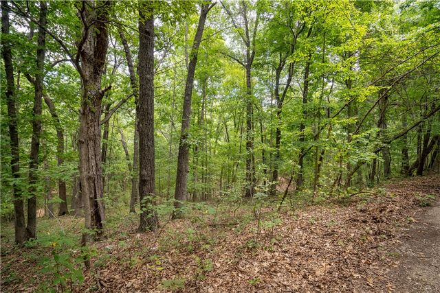 Bedlington Lane, Bella Vista, AR 72714