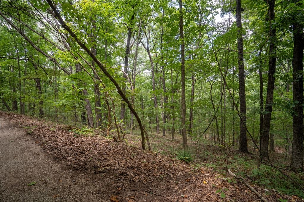 Bedlington Lane, Bella Vista, AR 72714