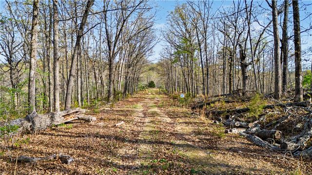 Appaloosa Drive, Rogers, AR 72756
