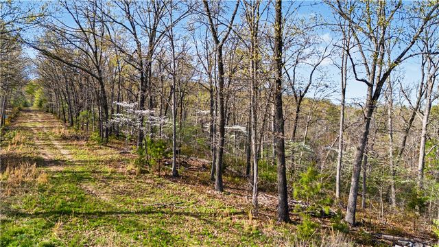 Appaloosa Drive, Rogers, AR 72756
