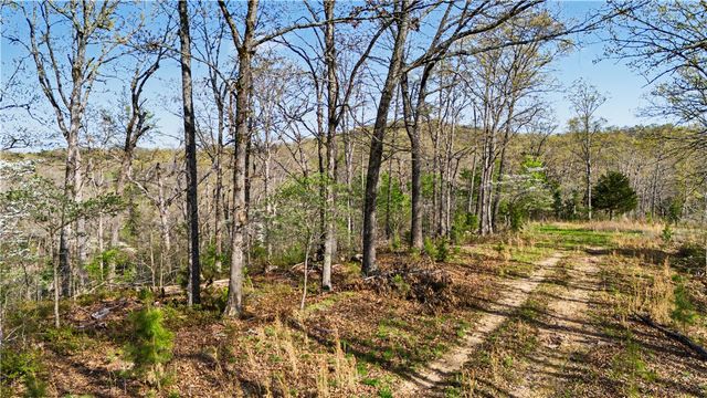 Appaloosa Drive, Rogers, AR 72756