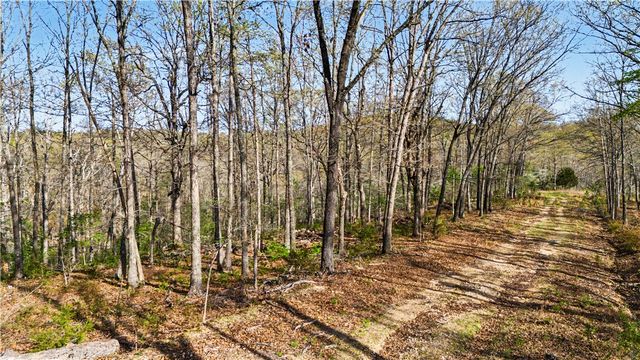 Appaloosa Drive, Rogers, AR 72756