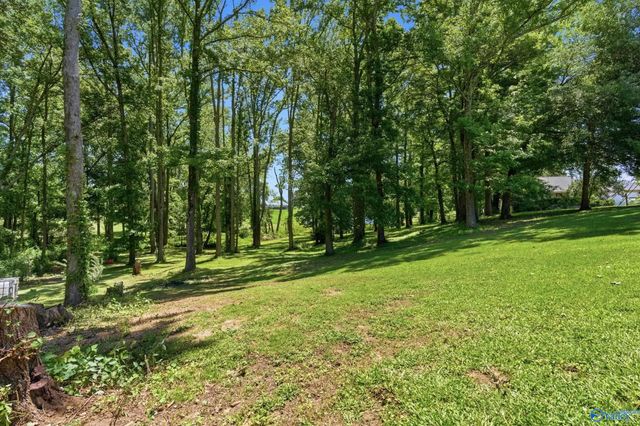 49 School House Road, Albertville, AL 35950