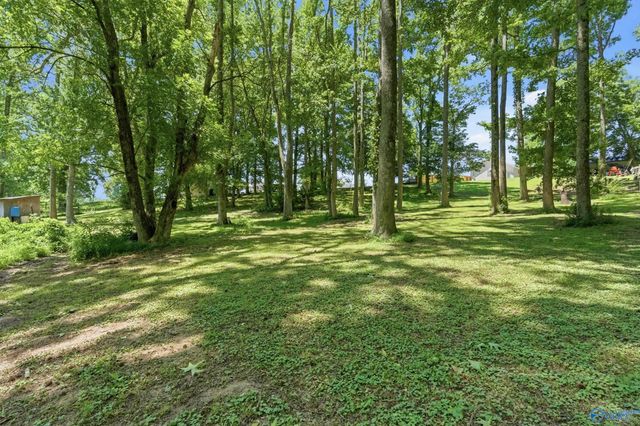 49 School House Road, Albertville, AL 35950