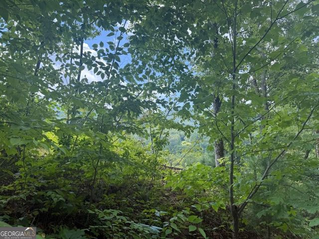 0 Bethabara View 11, Hayesville, NC 28904