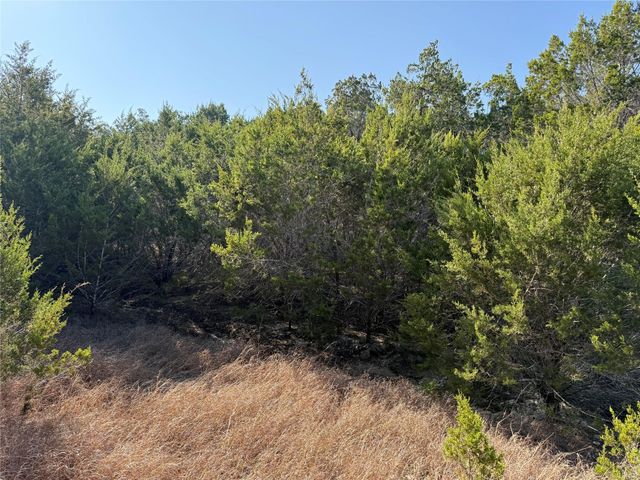 248 Kellog, Fischer, TX 78623