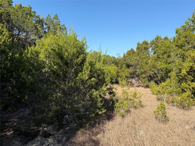 248 Kellog, Fischer, TX 78623