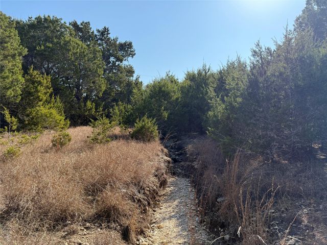 248 Kellog, Fischer, TX 78623