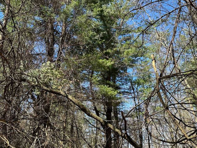 4.23 Acres VL - KNIGHTS BRIDGE Road, Addison Township, MI 48367