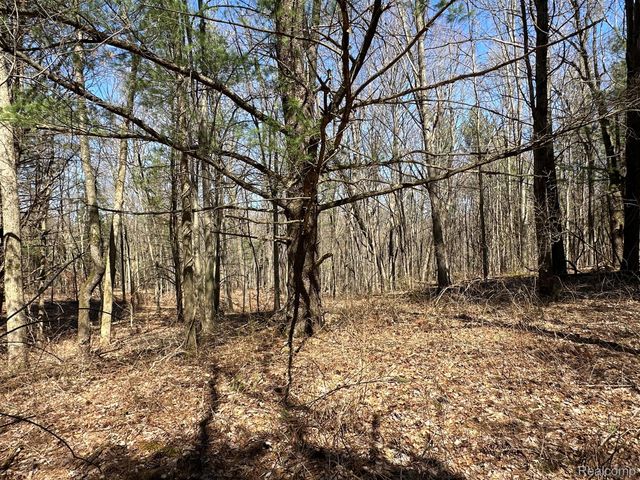 4.23 Acres VL - KNIGHTS BRIDGE Road, Addison Township, MI 48367