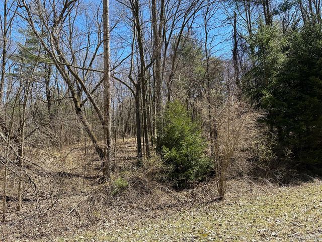 4.23 Acres VL - KNIGHTS BRIDGE Road, Addison Township, MI 48367