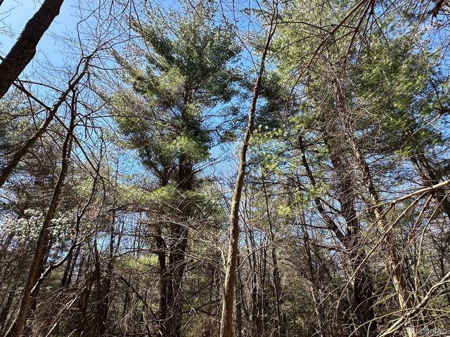 4.23 Acres VL - KNIGHTS BRIDGE Road, Addison Township, MI 48367
