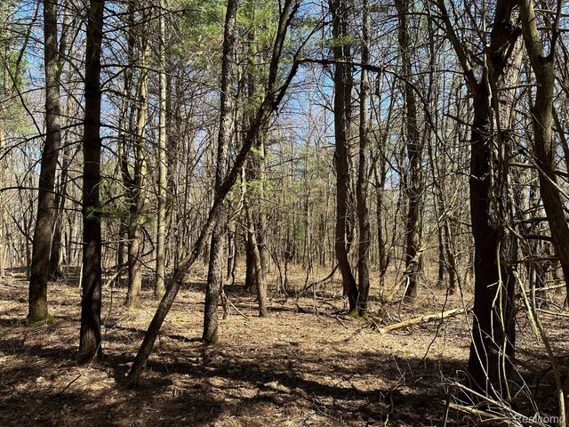 4.23 Acres VL - KNIGHTS BRIDGE Road, Addison Township, MI 48367