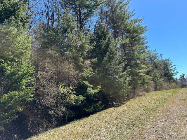 4.23 Acres VL - KNIGHTS BRIDGE Road, Addison Township, MI 48367