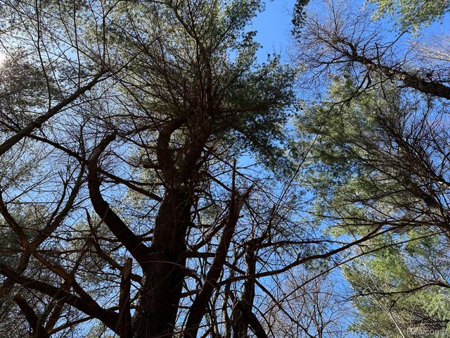 4.23 Acres VL - KNIGHTS BRIDGE Road, Addison Township, MI 48367