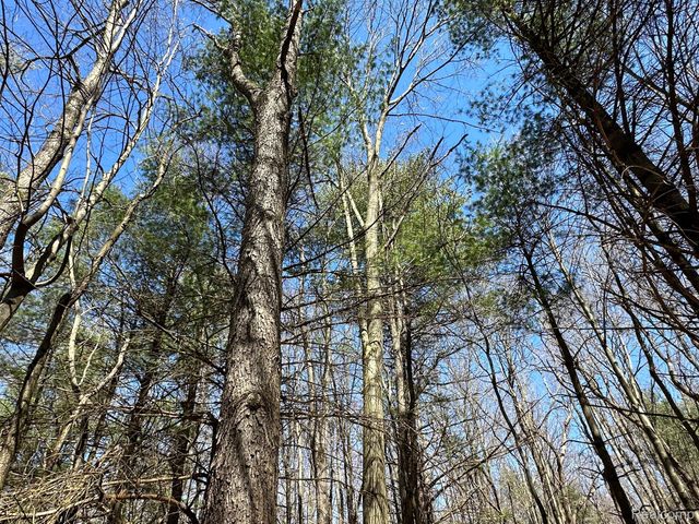 4.23 Acres VL - KNIGHTS BRIDGE Road, Addison Township, MI 48367