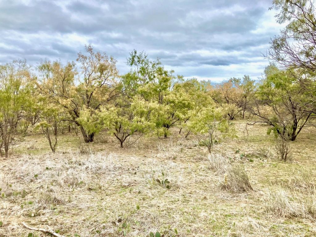 TBD 100AC Hwy 6, Moran, TX 76464
