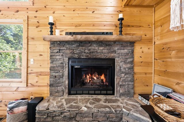 303 Pine Forest Loop, Blue Ridge, GA 30513