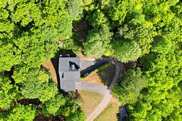 303 Pine Forest Loop, Blue Ridge, GA 30513
