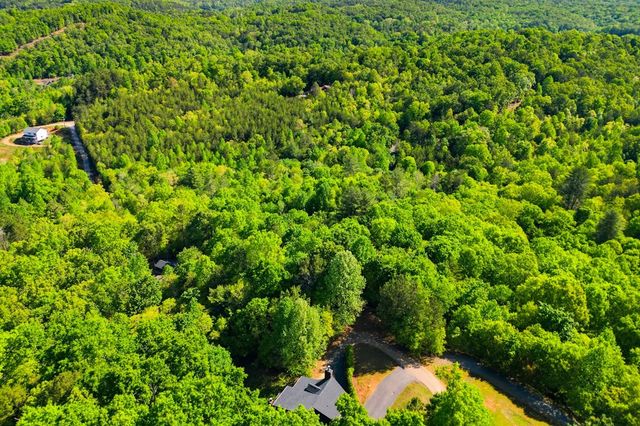 303 Pine Forest Loop, Blue Ridge, GA 30513