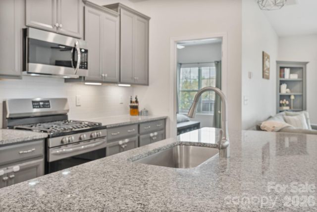6855 Spring Peeper Lane, Lancaster, SC 29720