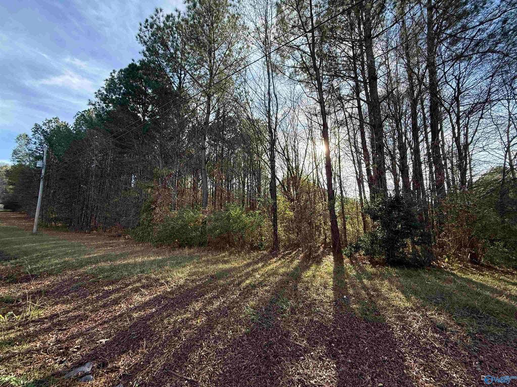 Lot 21 Sweetwater Lane, Rainbow City, AL 35906