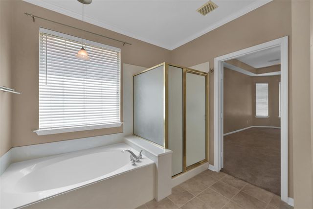 31 S Downy Willow Circle, The Woodlands, TX 77382