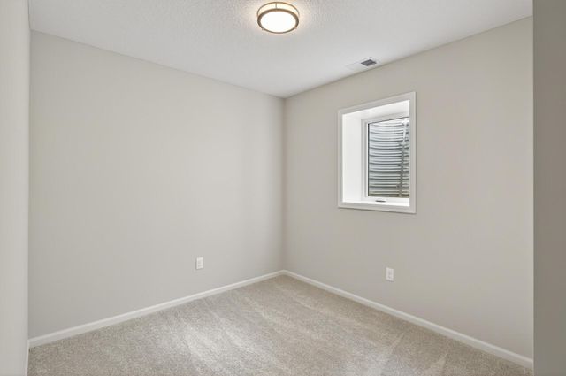 213 N Walnut Street, Chaska, MN 55318