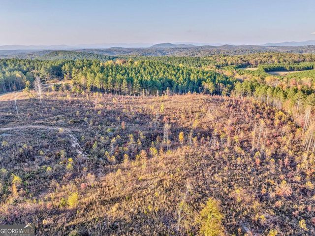 177 Bear Creek Road, Talking Rock, GA 30175