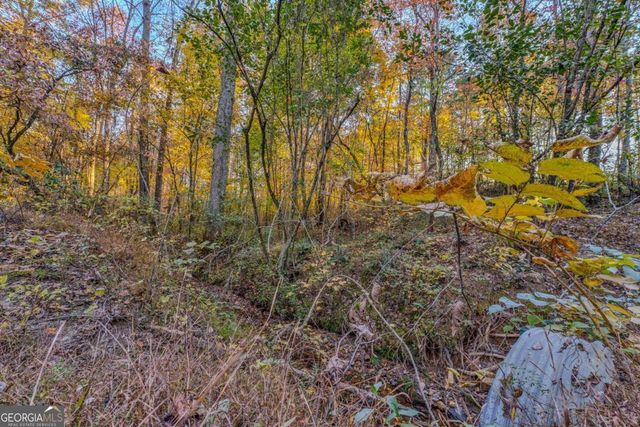 177 Bear Creek Road, Talking Rock, GA 30175