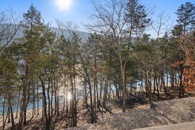 1307 Rocky Shore Terrace, Kimberling City, MO 65686