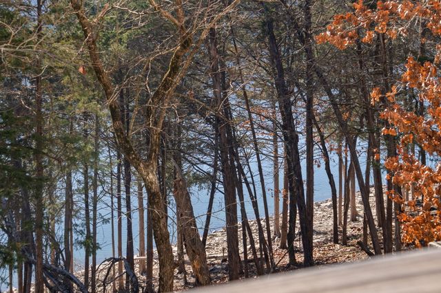 1307 Rocky Shore Terrace, Kimberling City, MO 65686