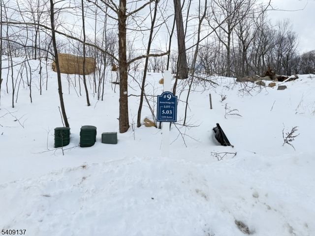 9 Bristol Ridge Rd, Boonton Twp., NJ 07005