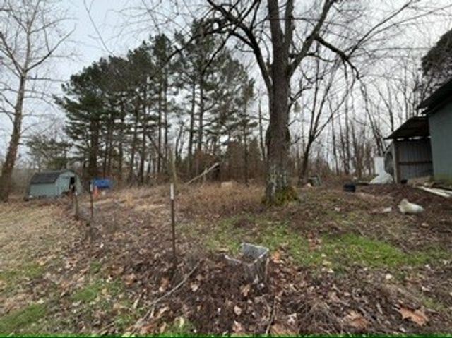 9830 Caneyville Rd, Morgantown, KY 42261