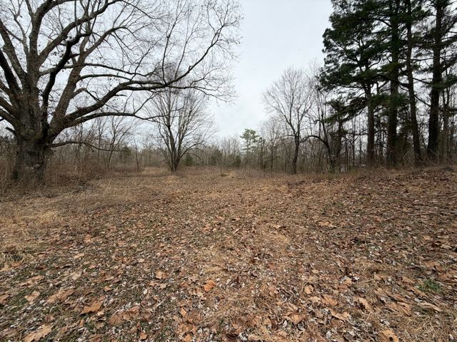 9830 Caneyville Rd, Morgantown, KY 42261