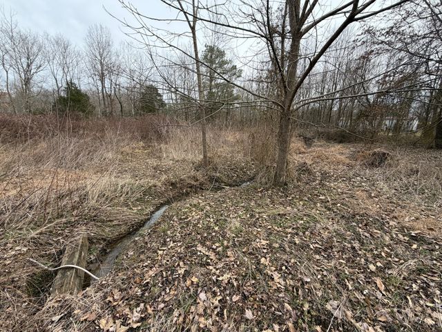 9830 Caneyville Rd, Morgantown, KY 42261