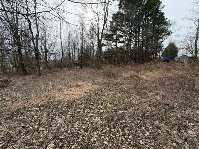 9830 Caneyville Rd, Morgantown, KY 42261