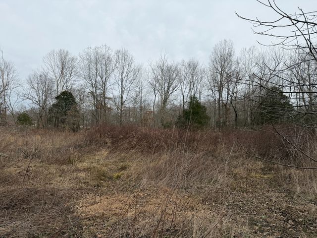 9830 Caneyville Rd, Morgantown, KY 42261