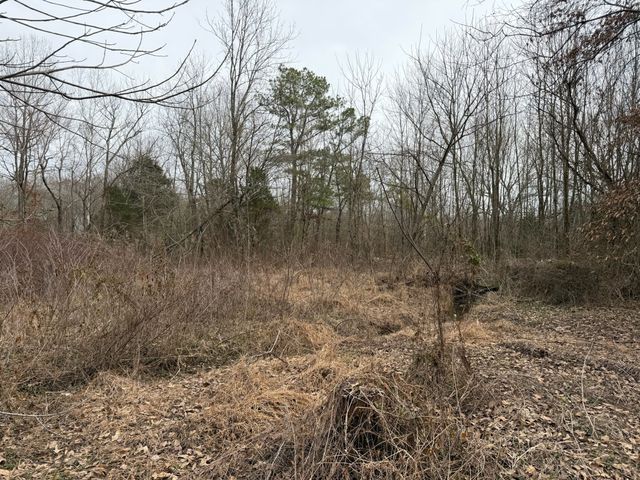 9830 Caneyville Rd, Morgantown, KY 42261