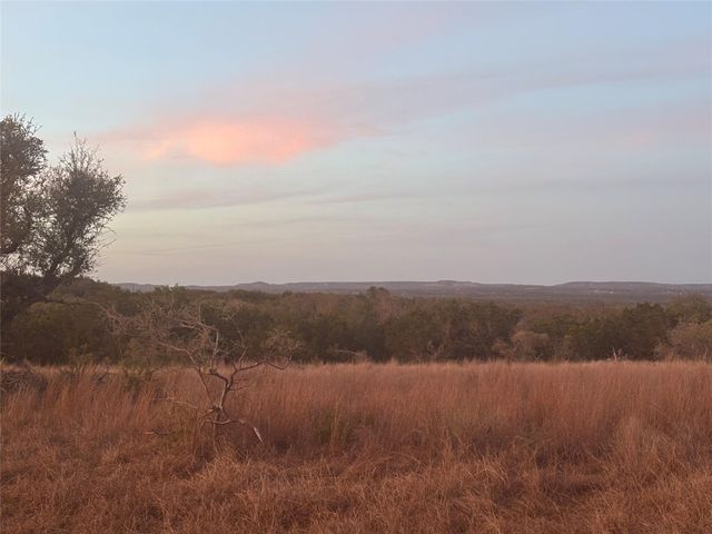 768 Tiswin TRL, Blanco, TX 78606
