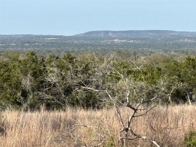 768 Tiswin TRL, Blanco, TX 78606
