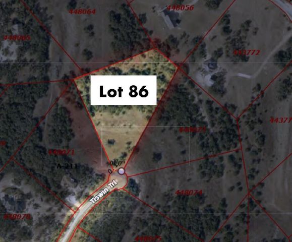 768 Tiswin TRL, Blanco, TX 78606