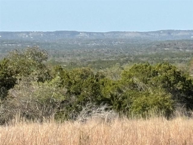 768 Tiswin TRL, Blanco, TX 78606