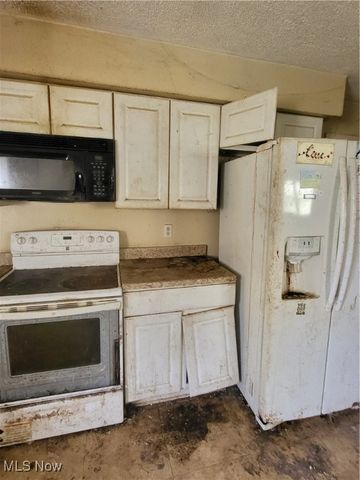 43650 Lafferty Road, Flushing, OH 43977