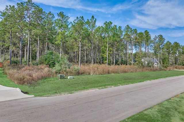 15929 Wood Grove Way, Willis, TX 77378