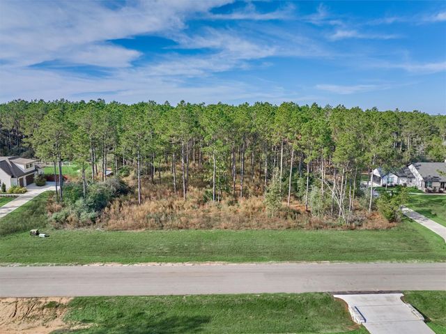 15929 Wood Grove Way, Willis, TX 77378