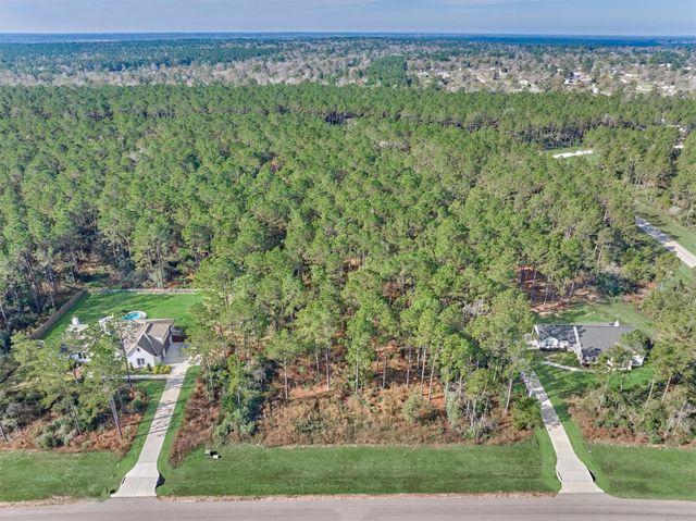 15929 Wood Grove Way, Willis, TX 77378