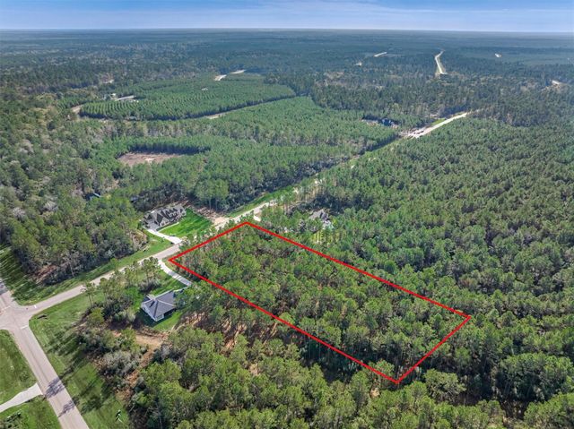 15929 Wood Grove Way, Willis, TX 77378