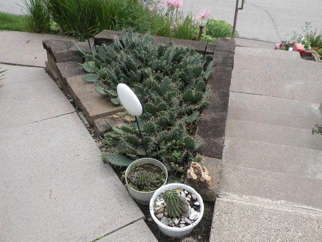 610 1st Street, Bloomington, WI 53804